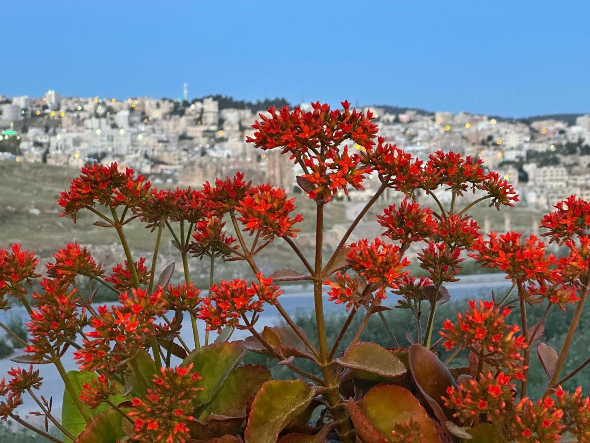 Jerash City View Джераш Екстериор снимка