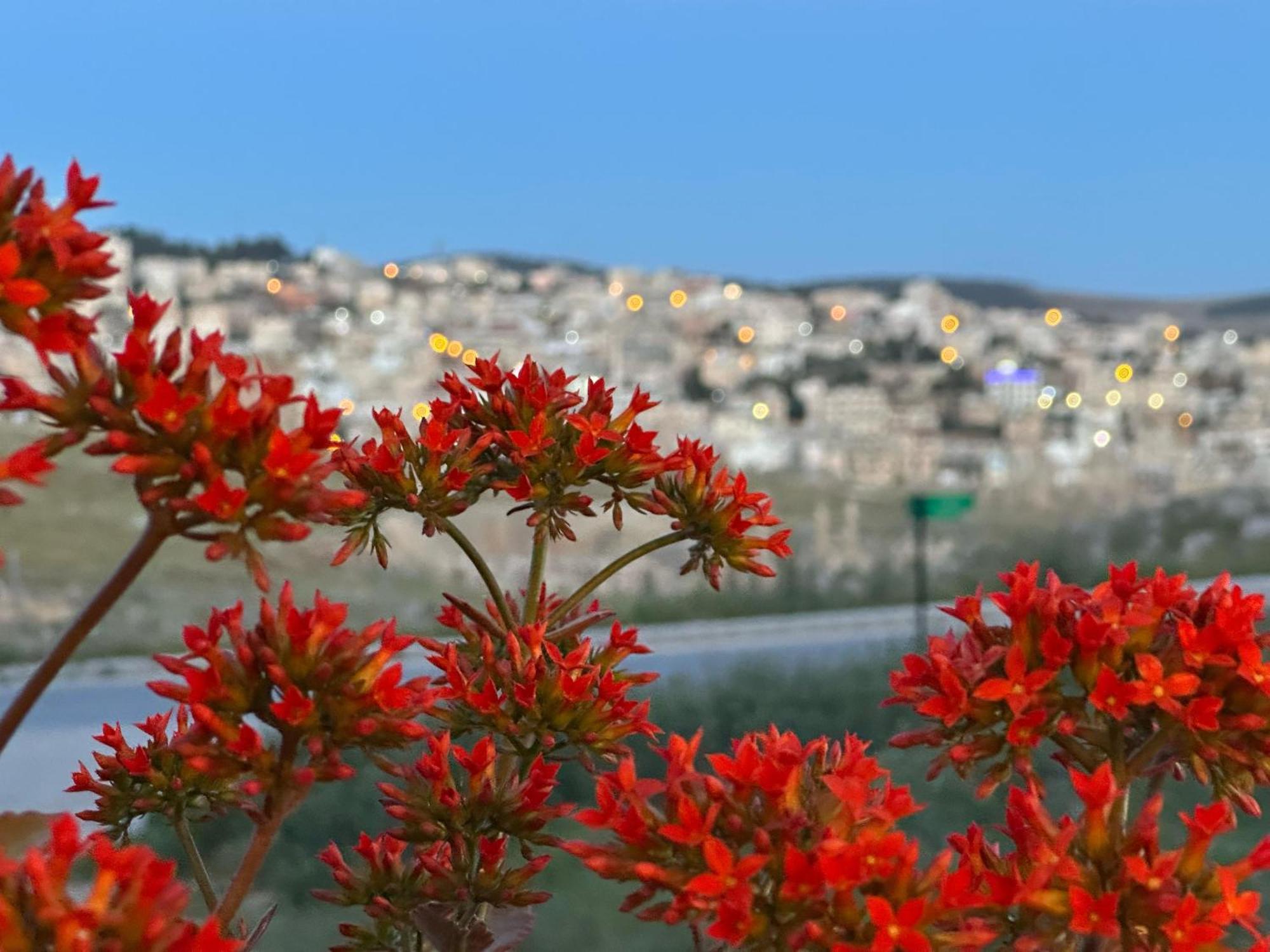 Jerash City View Джераш Екстериор снимка